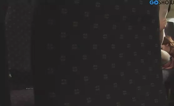 Airborne Erotic Adventures